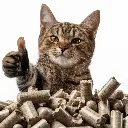 serhii7311_a_funny_smiling_cat_showing_thumbs_up_on_background__dcb8358e-c237-49d7-97be-863749d18246.webp